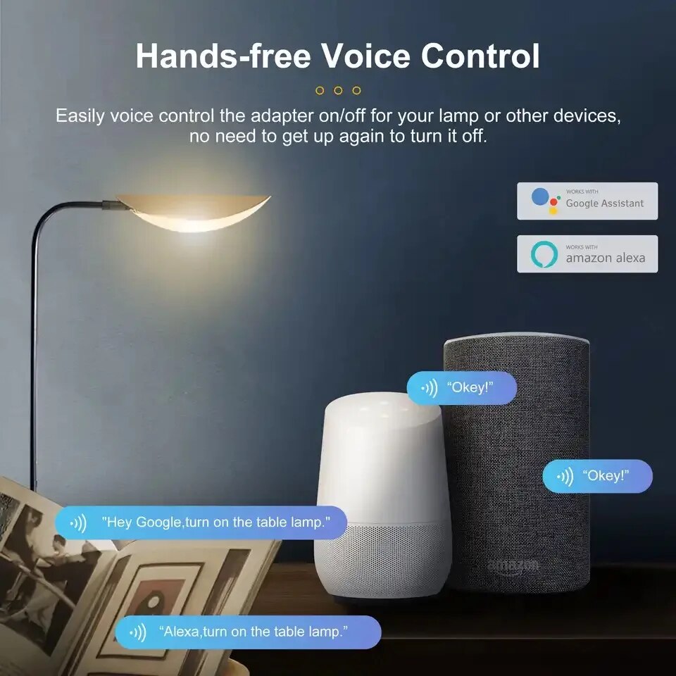 Smart Micro USB Adaptor Switch - Smart Plug Mini Alexa Google review and price