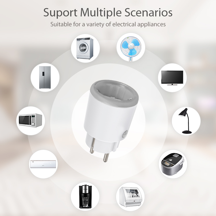 Tuya Zigbee Smart Power Plug 1 - Smart Plug Zigbee 16A review and price