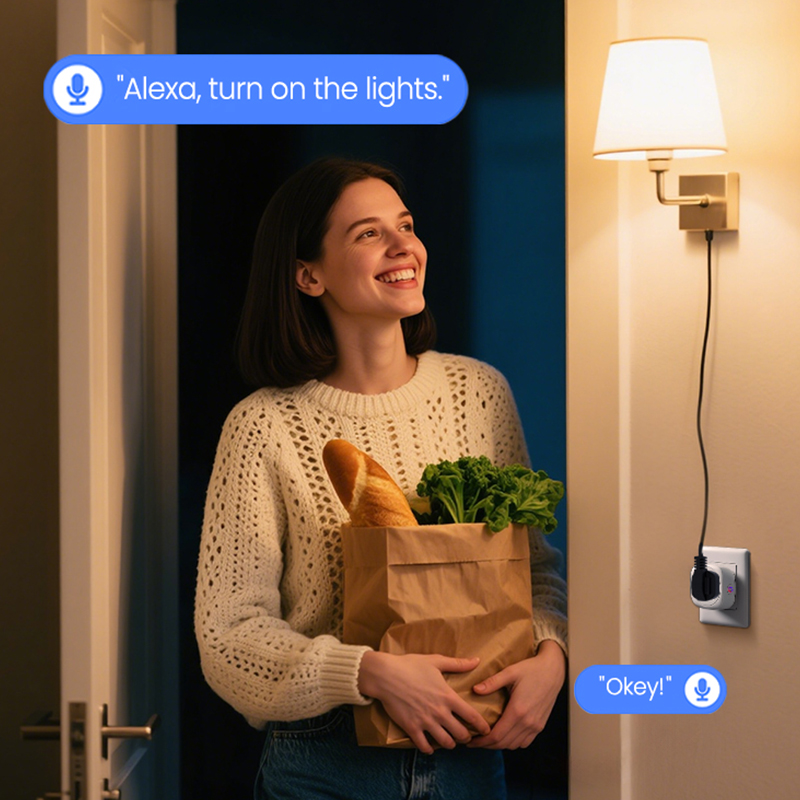 Tuya South Africa Plug 16A/20A - Smart Plug Zigbee 16A review and price